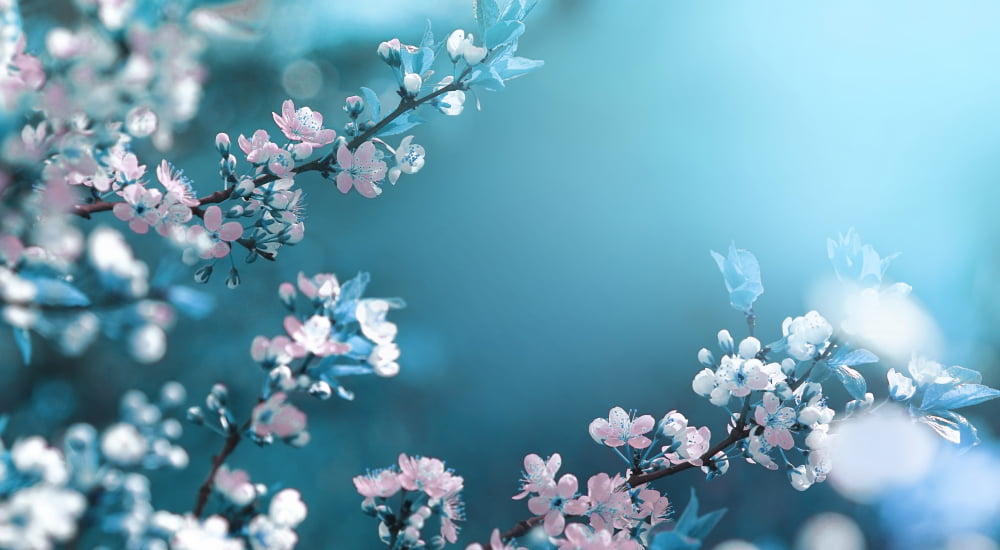 Product Design as Haiku