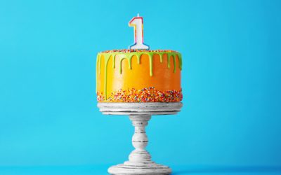 7 Lessons Learned from One Year in Business
